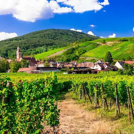 Gîte Le Villois à Villé Centre Alsace Extérieur photo