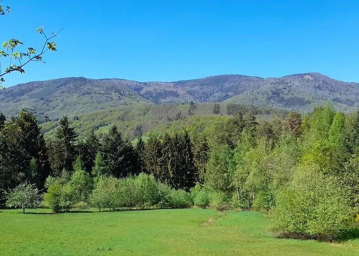 Ville Centre - Gite Le Villois - Au Coeur De L\'Alsace