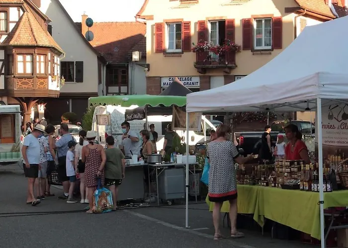 Ville Centre - Gite Le Villois - Au Coeur De L\'Alsace
