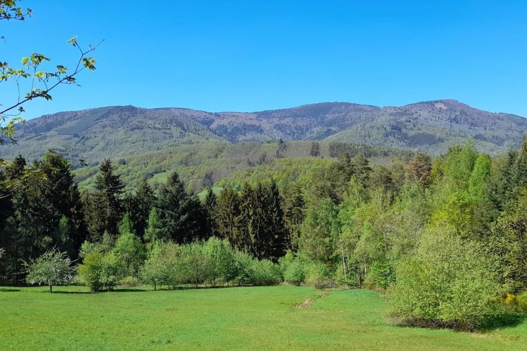 Centre - Le Villois - Au Coeur De L'alsace Holiday home *