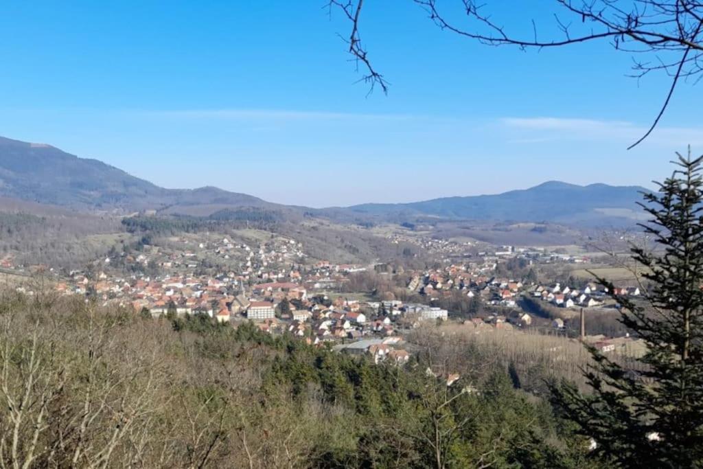 Centre - Le Villois - Au Coeur De L'alsace Holiday home *