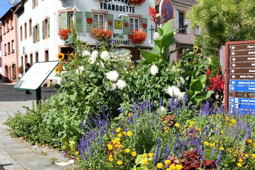 Centre - Le Villois - Au Coeur De L'alsace Ville (Bas-Rhin)