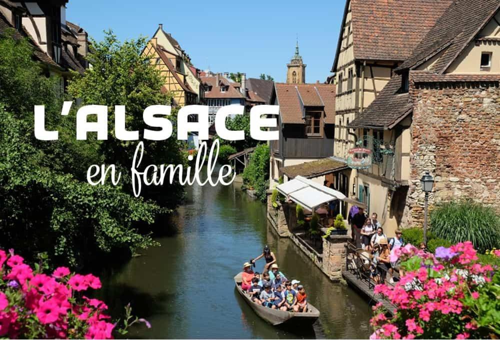 Holiday home Centre - Le Villois - Au Coeur De L'alsace