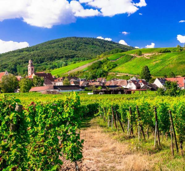 Centre - Le Villois - Au Coeur De L'alsace * Ville (Bas-Rhin)