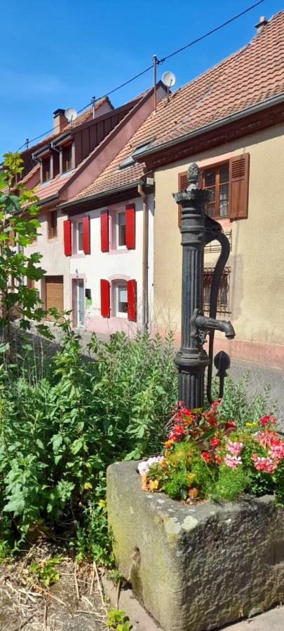 Holiday home Centre - Le Villois - Au Coeur De L'alsace *